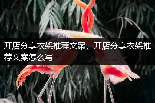 开店分享衣架推荐文案，开店分享衣架推荐文案怎么写