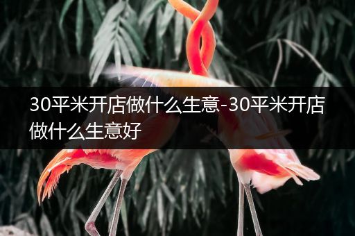 30平米开店做什么生意-30平米开店做什么生意好