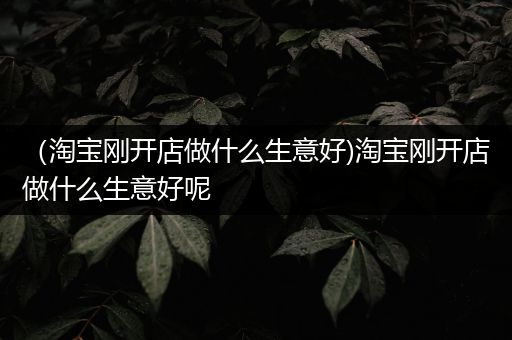 （淘宝刚开店做什么生意好)淘宝刚开店做什么生意好呢